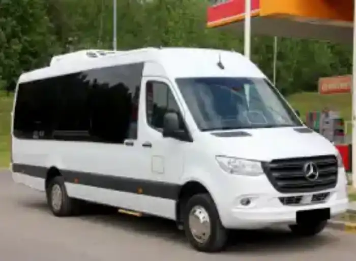 Vaikų vežimas Kaune